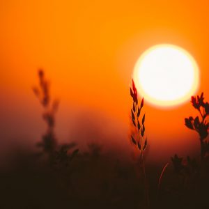 Meditation Audio Download